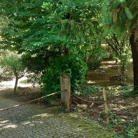 Cabana Da Oliveira Marco de Canavezes Exteriér fotografie