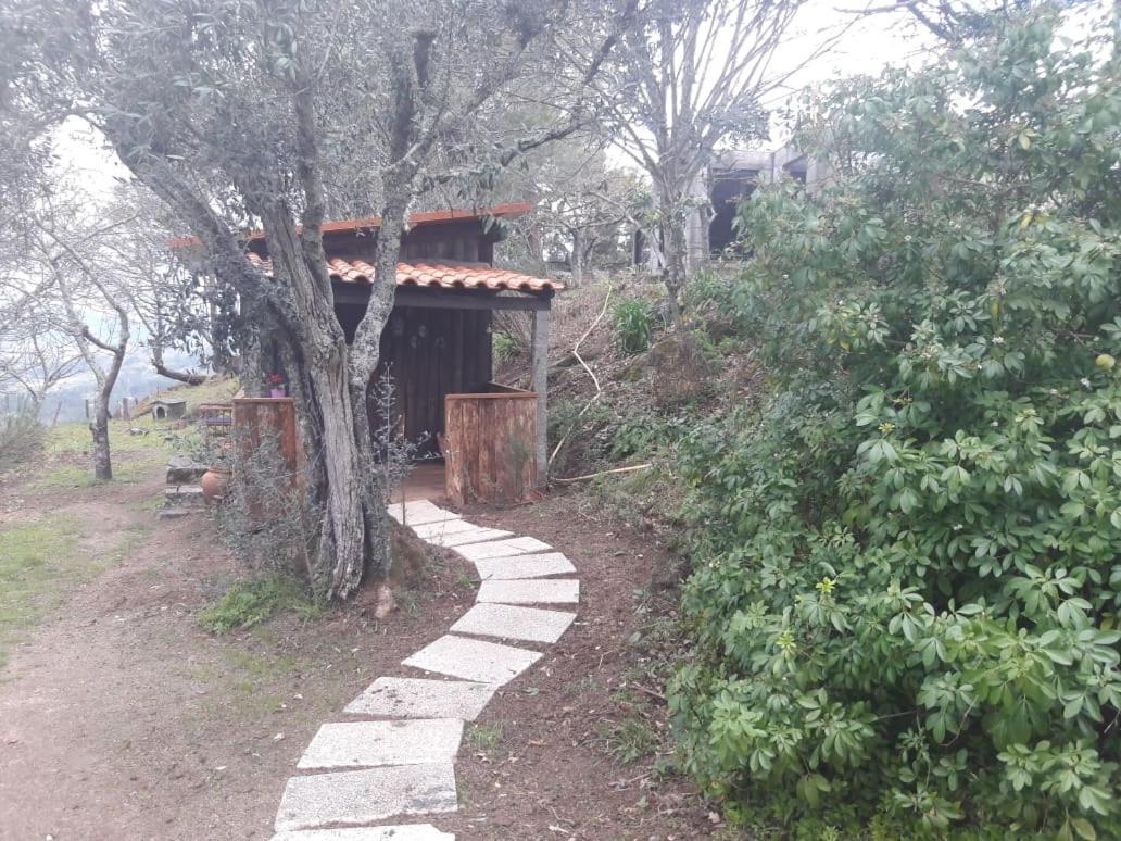 Cabana Da Oliveira Marco de Canavezes Exteriér fotografie