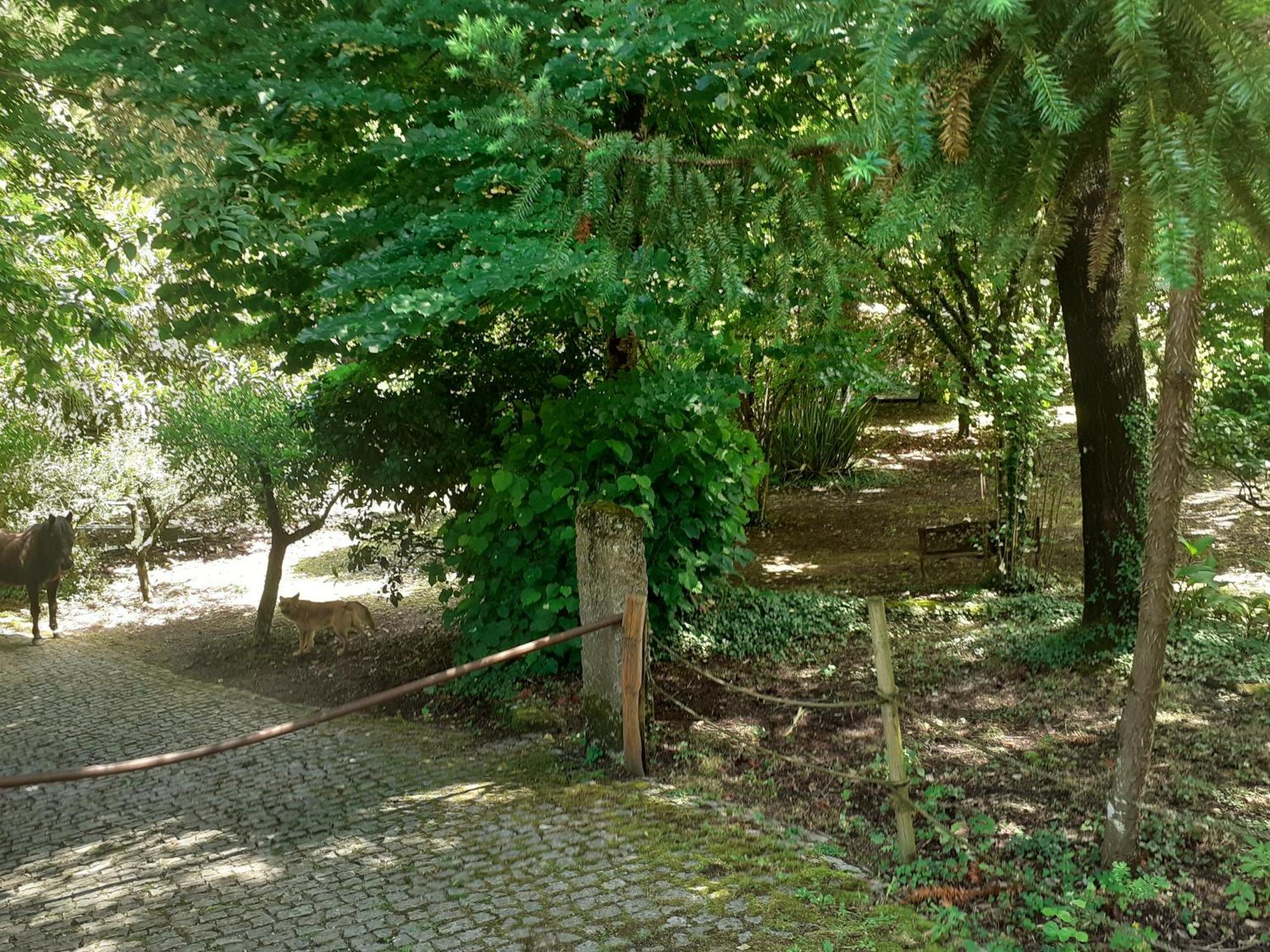 Cabana Da Oliveira Marco de Canavezes Exteriér fotografie